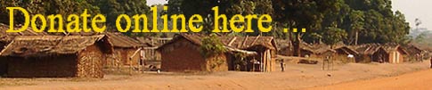 donate_online_here_mh
