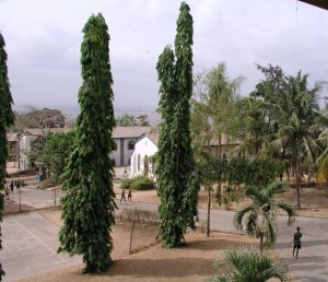 Oke Are Minor seminary compound today